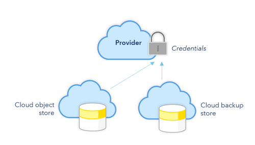 The use of a single credential for numerous cloud services.