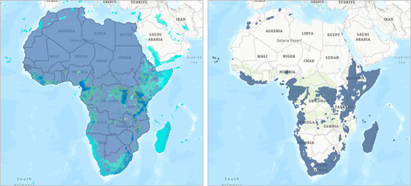 Rareza de especies de aves recortadas a los límites de África