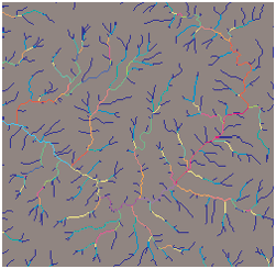 Hiérarchisation d’écoulement Hiérarchisation d’écoulement