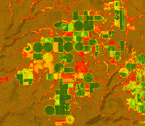 NDVI の例 NDVI の例
