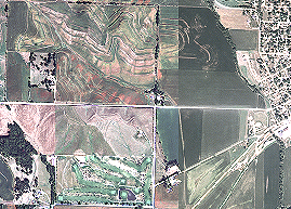 シャープンの結果 シャープンの結果