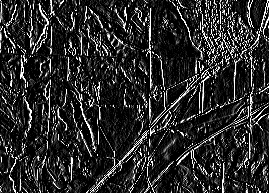 梯度(东)结果 梯度(东)结果